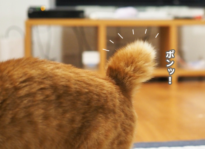 17日夜ブログ８