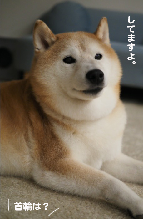 16日夕ブログ３