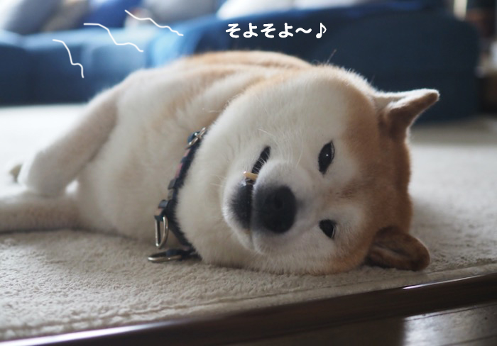 25日夕ブログ３