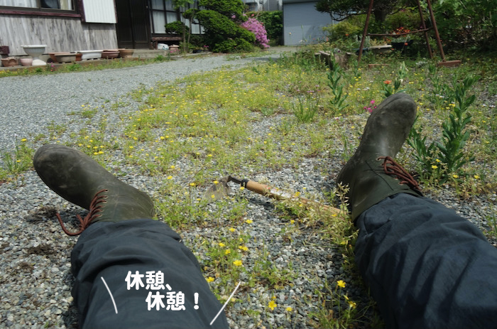 23日ブログ２