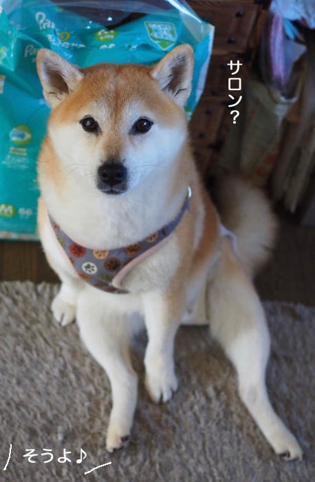 11日ブログ１１