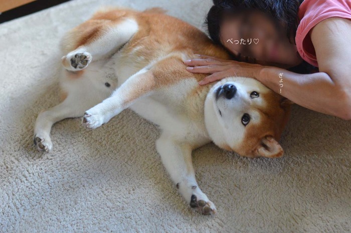 19日ブログ9