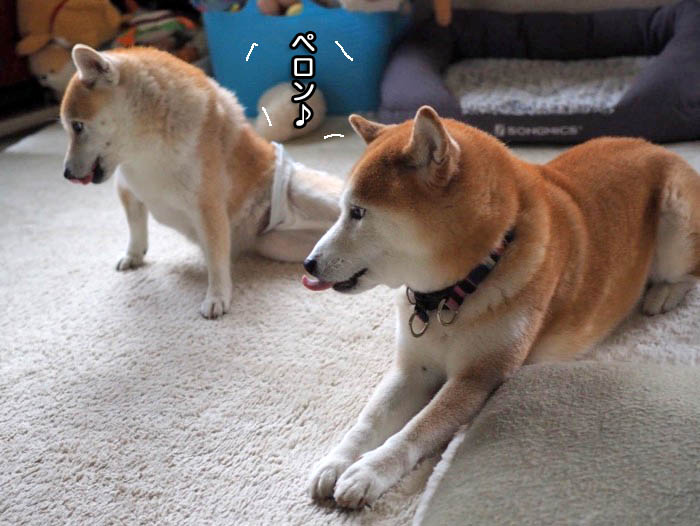 23日ブログ９