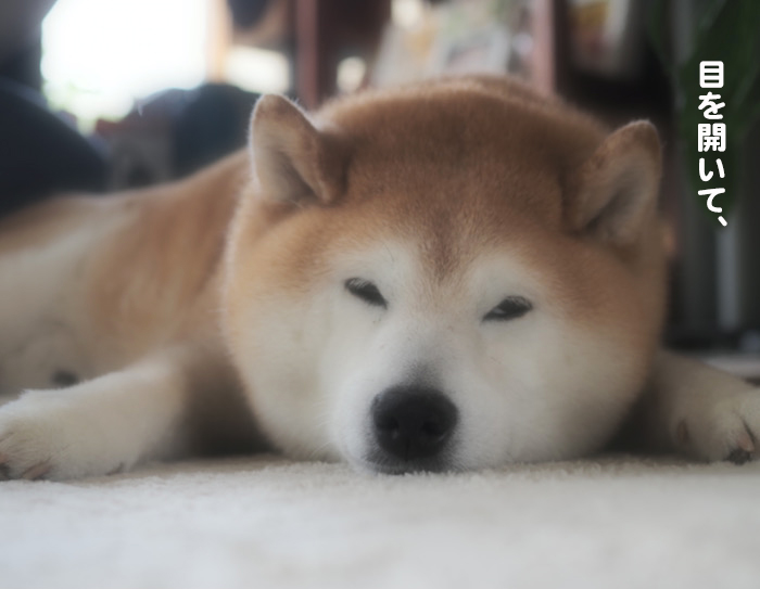 9日夕ブログ８
