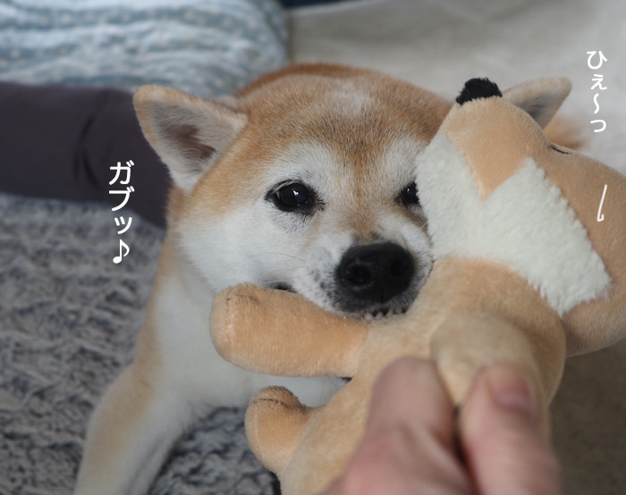 28日ブログ３