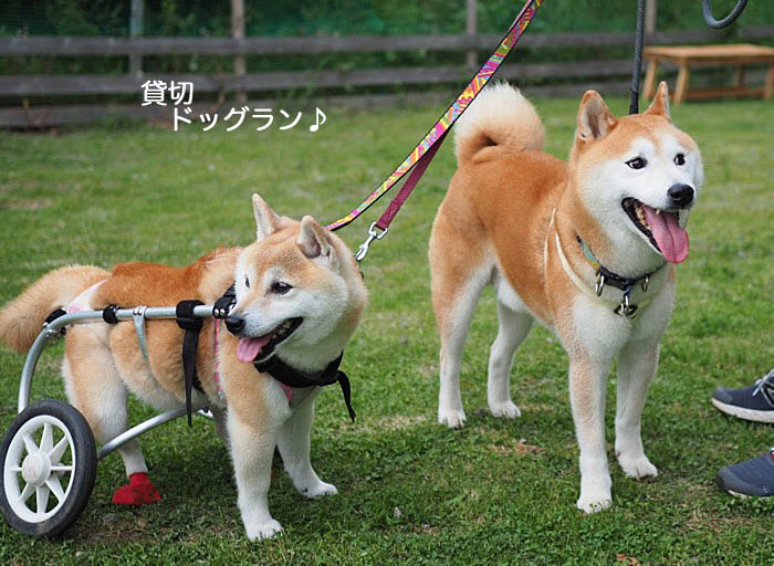 28日ブログ２