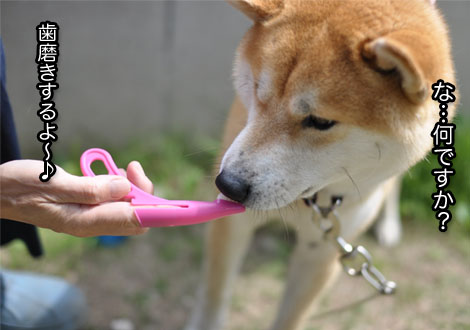 28日ブログ12.jpg