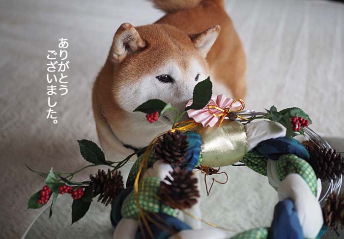 8日ブログ４