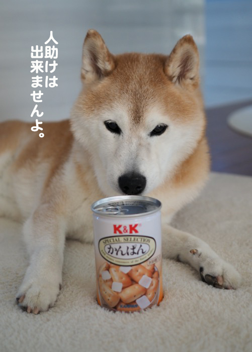 ２６日午前ブログ２