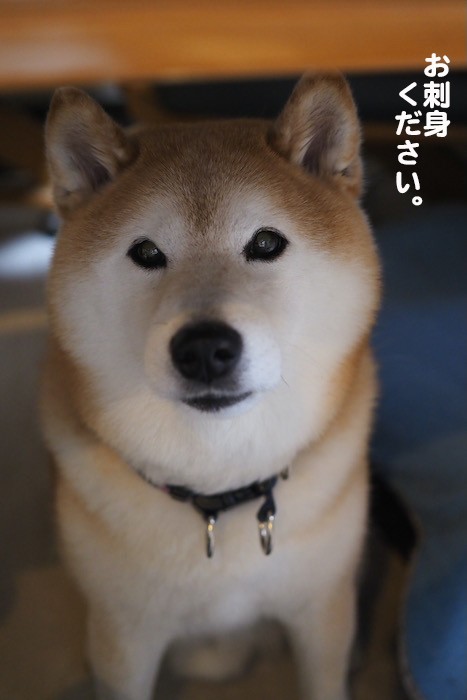 19日ブログ１