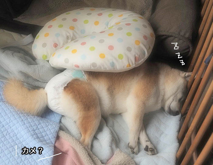 14日夜ブログ２