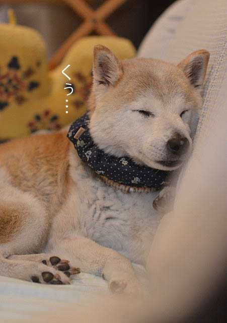 15日ブログ5
