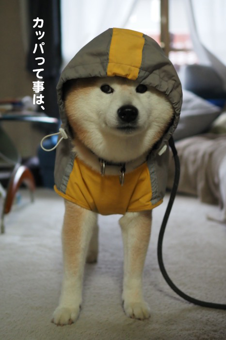 26日ブログ１