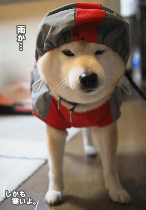 28日ブログ１