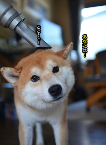 29日ブログ7.jpg