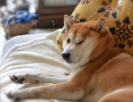 20日ブログ8.jpg