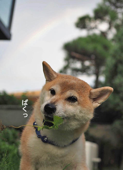 16日夜ブログ４