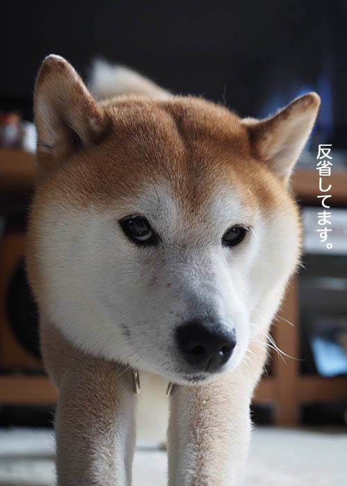 10日午後ブログ５