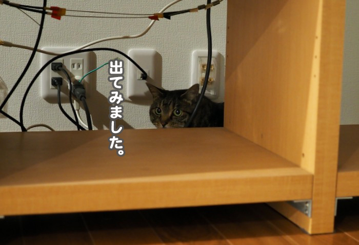 15日ブログ３