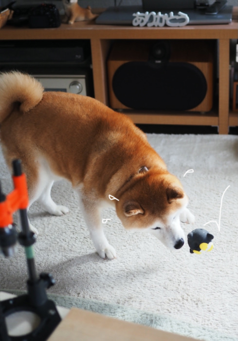 22日ブログ６