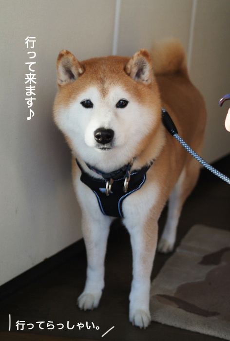 1日夜ブログ４