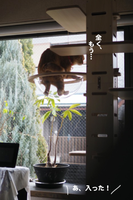 7日ブログ８