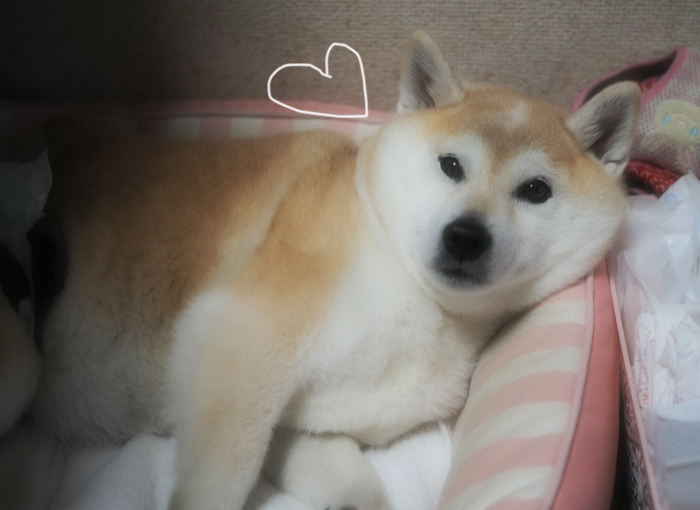 30日夜ブログ２