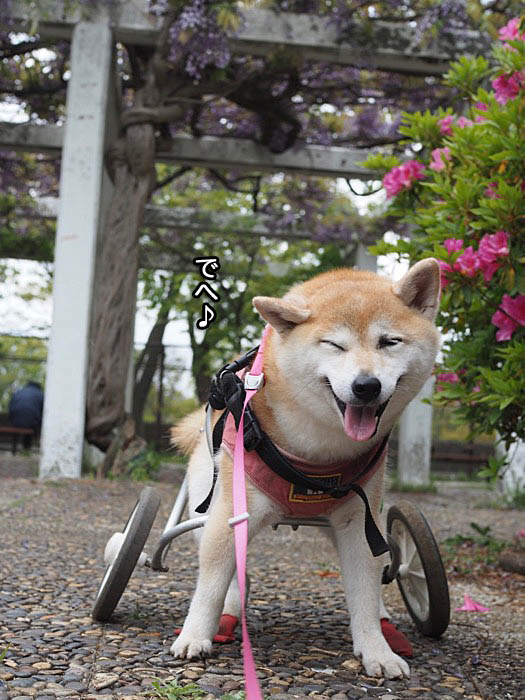 27日夜ブログ５