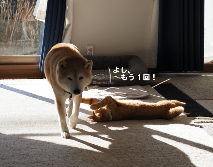 28日夕ブログ９