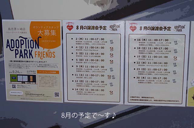 4日ブログ6
