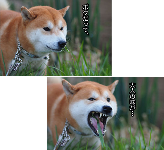 20日ブログ15.jpg
