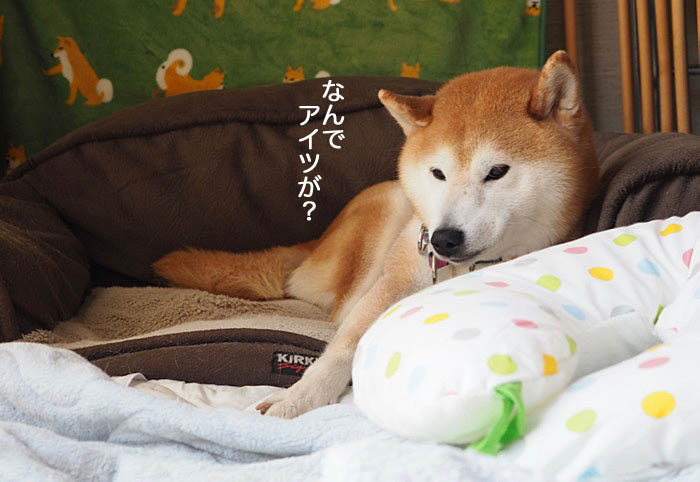 29日夜ブログ４