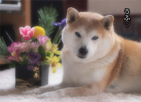 5日ブログ14.jpg
