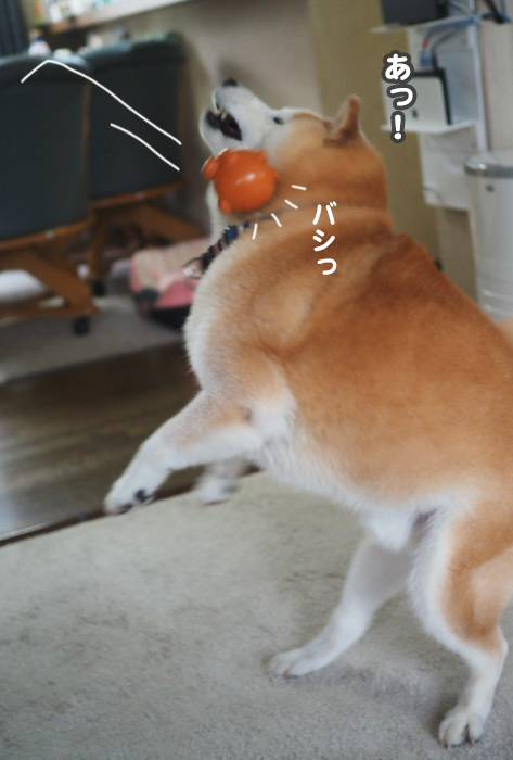 3日夕ブログ3