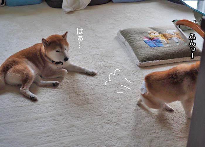 6日午後ブログ8