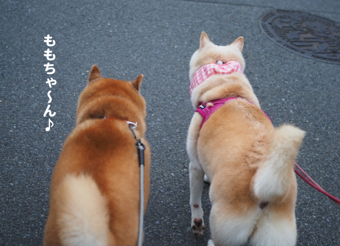 17日夕ブログ７