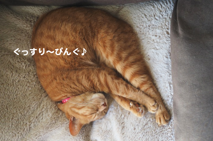 9日ブログ２