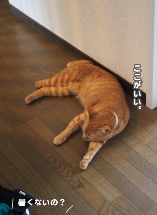 8日夕ブログ８