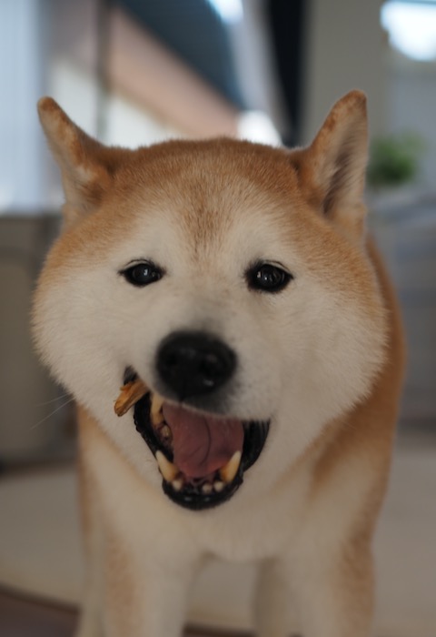 9日ブログ５