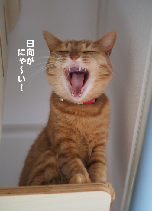 20日午前ブログ３