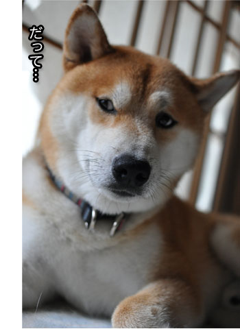 30日ブログ16.jpg