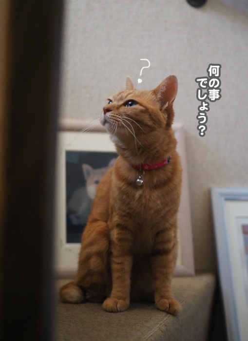 2日夜ブログ９