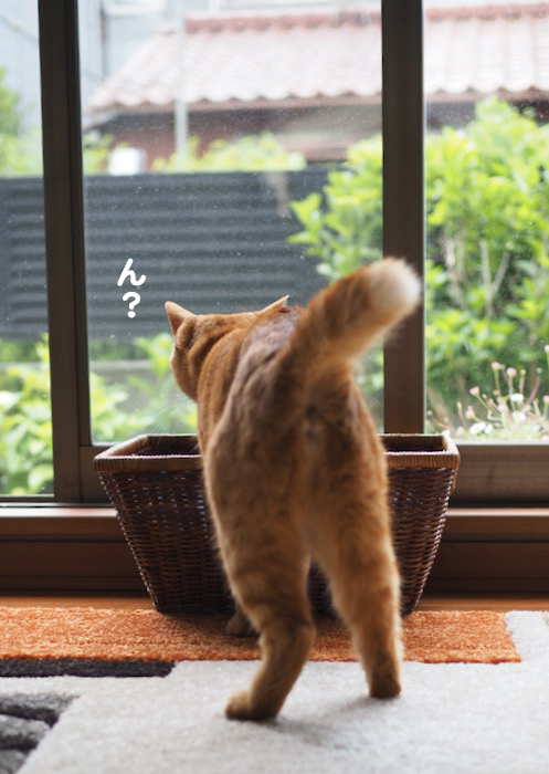 22日夕ブログ4