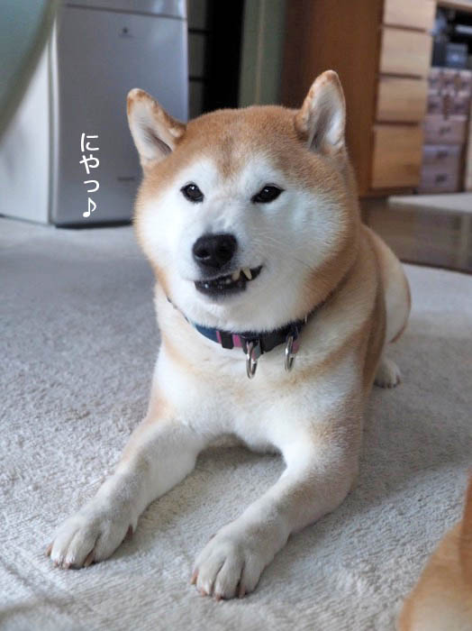 10日ブログ２