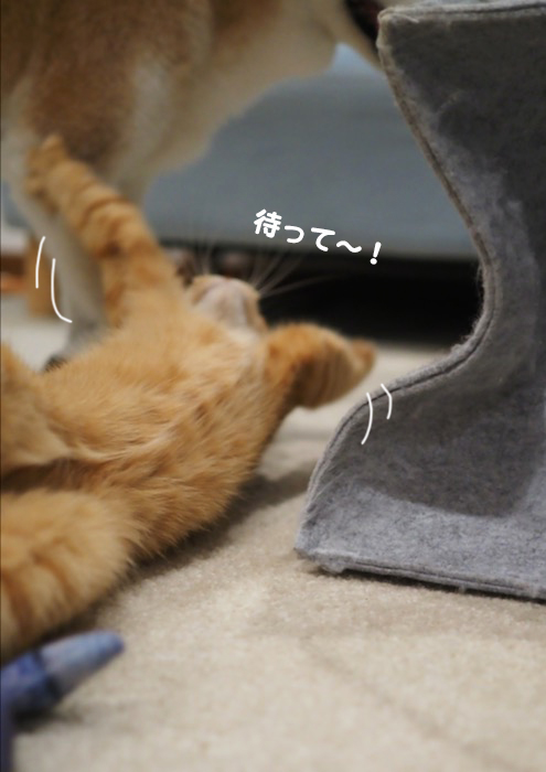 16日夕ブログ５