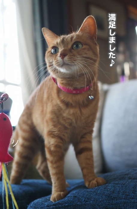 12日夕ブログ７