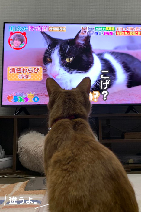 15日夕ブログ４