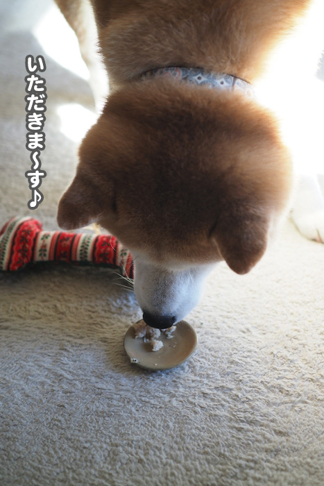 26日夕ブログ１１