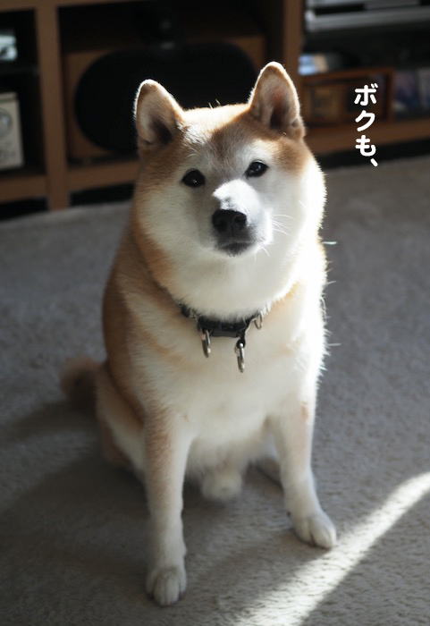 23日ブログ４