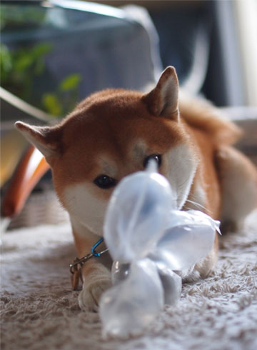22日ブログ7.jpg